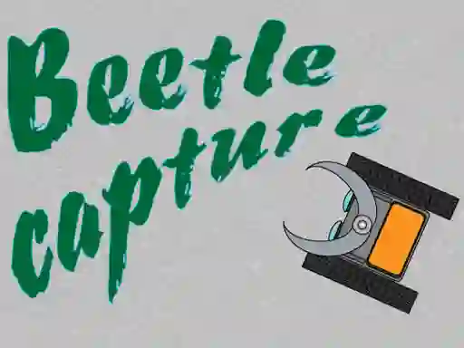 Gra Beetle Capture w Internecie
