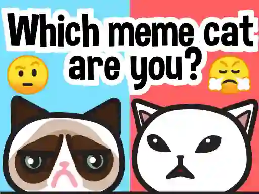 Gra Which Meme Cat Are You? w Internecie