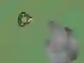Gra Endless Tournament w Internecie