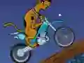 Gra Scooby Doo Trail w Internecie