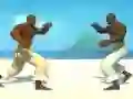 Gra Capoeira fighter w Internecie