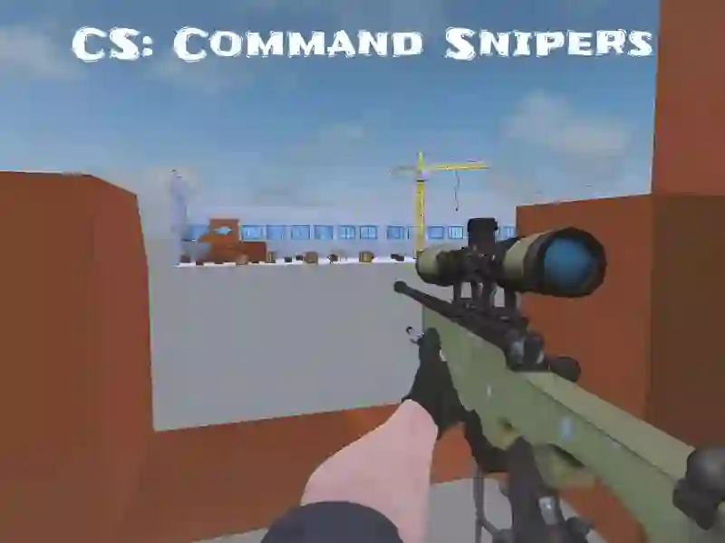 Gra CS: Command Snipers w Internecie
