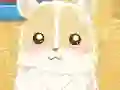 Gra Hamster Love w Internecie