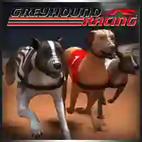 Gra Greyhound Racing w Internecie