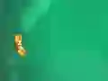 Gra Anti Body w Internecie