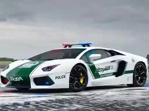 Gra Police Cars Jigsaw Puzzle w Internecie