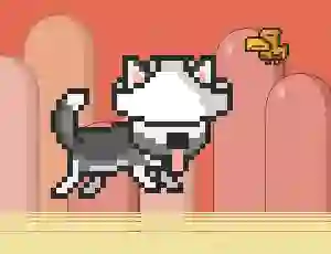 Gra Mr Jump Husky w Internecie