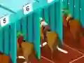 Gra Derby racing w Internecie