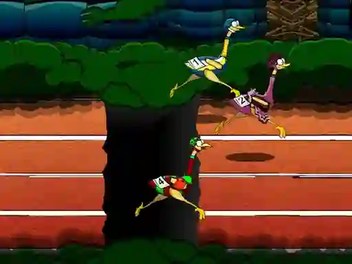 Gra Big Birds Racing w Internecie
