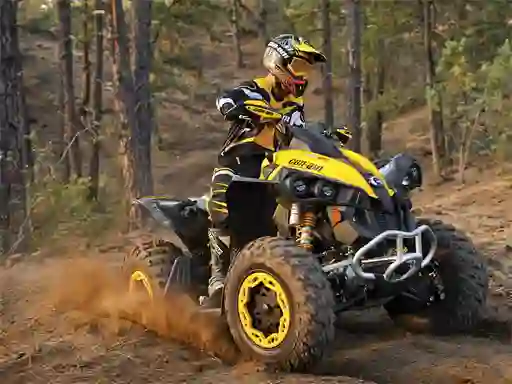 Gra ATV Offroad Puzzle w Internecie