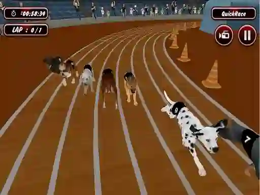 Gra Crazyl Dog Racing Fever w Internecie
