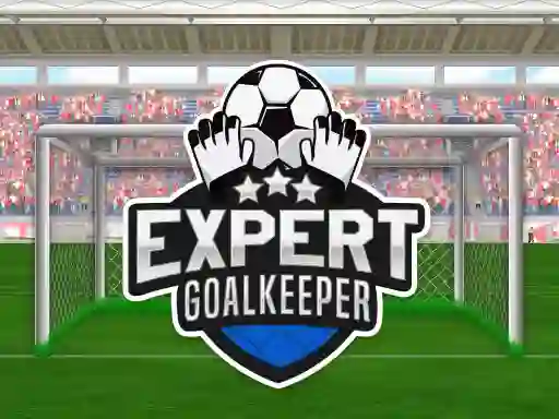 Gra Expert Goalkeeper w Internecie