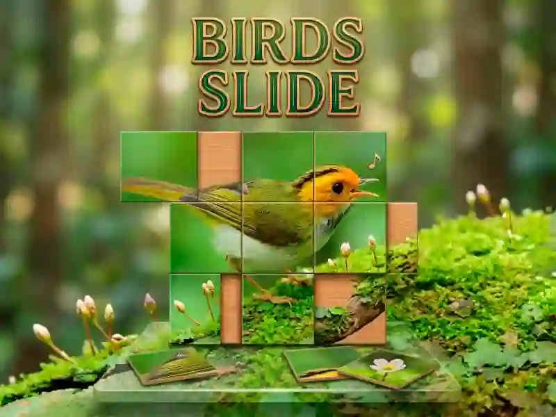 Gra Birds Slide w Internecie