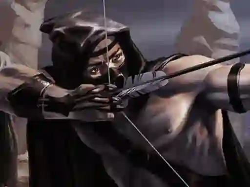 Gra Shadow Archers w Internecie