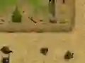 Gra Ambush w Internecie