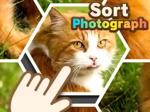 Gra Sort Photograph w Internecie
