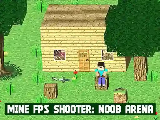 Gra Mine FPS Shooter: Noob Arena w Internecie