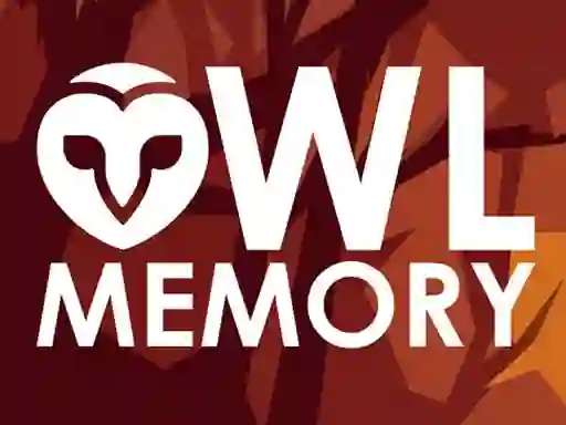 Gra Owl Memory w Internecie
