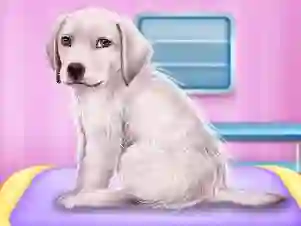 Gra Labrador at the doctor salon w Internecie
