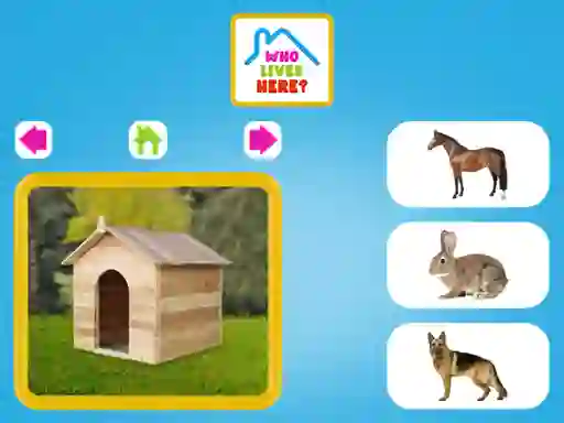 Gra Who Lives Here w Internecie