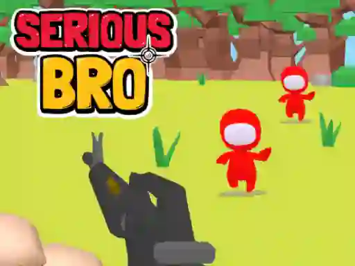 Gra Serious Bro w Internecie