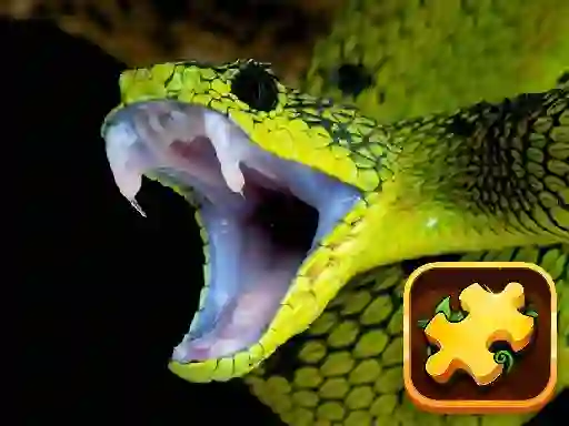 Gra Snake Puzzle Challenge w Internecie
