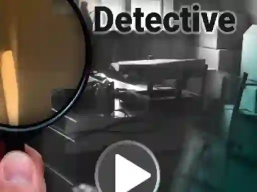 Gra Find The Difference Detective w Internecie