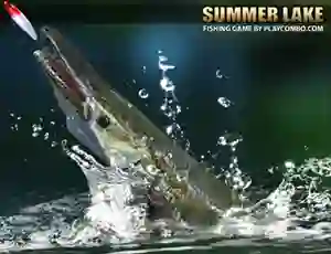 Gra Summer Lake w Internecie