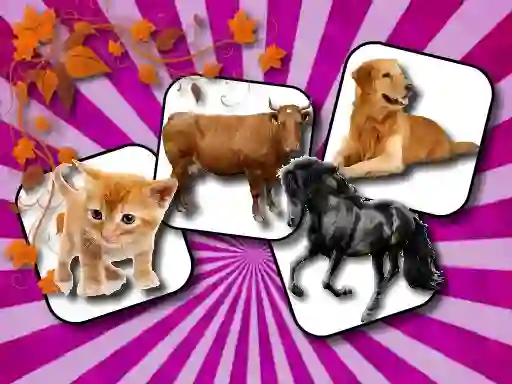 Gra Domestic Animal Memory Challenge w Internecie