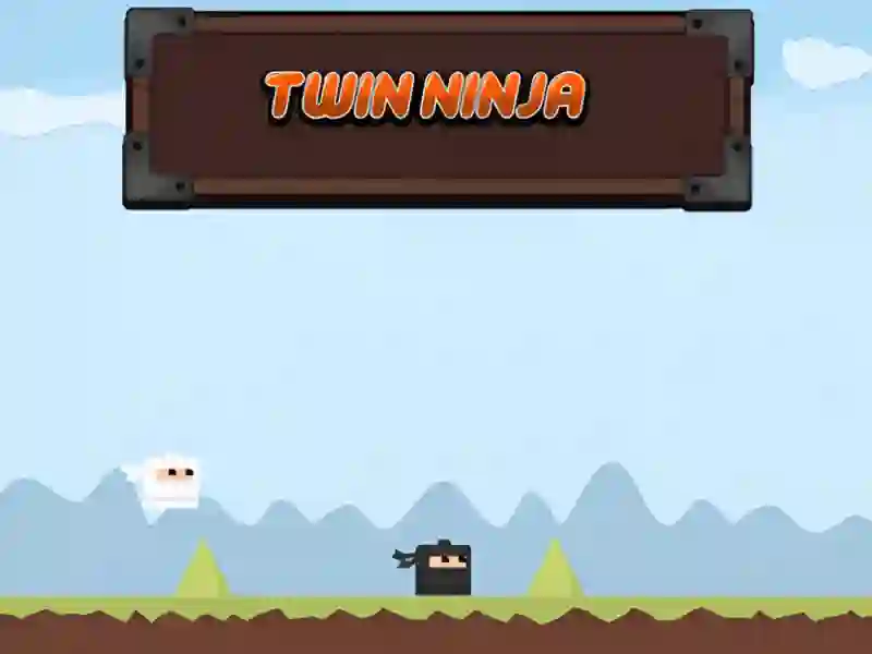Gra Twin Ninja w Internecie