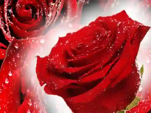 Gra Red Roses w Internecie