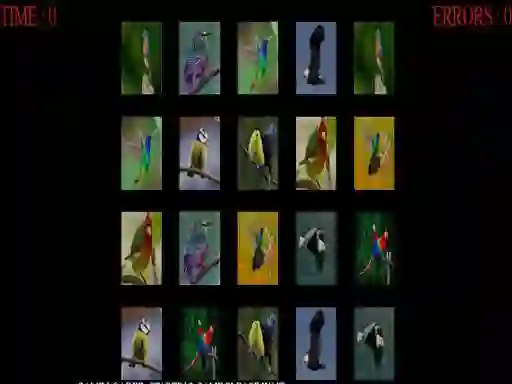 Gra Memorize the birds w Internecie