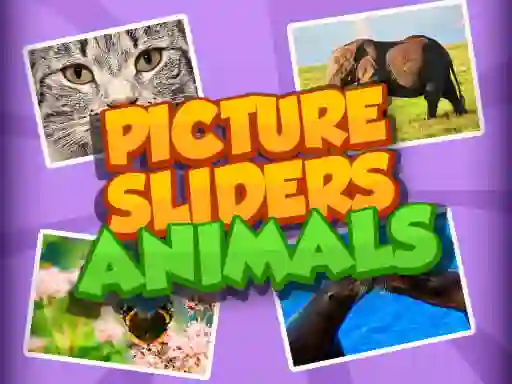 Gra Picture Slider Animals w Internecie