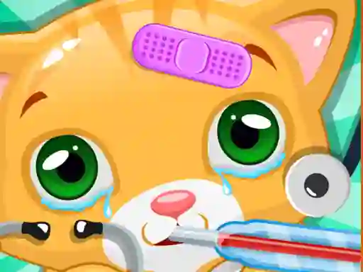 Gra Little Cat Doctor w Internecie