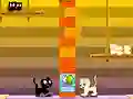 Gra Swing Cat w Internecie