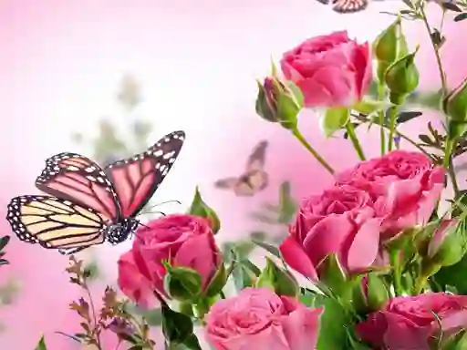Gra Butterflies Puzzle w Internecie