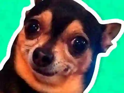 Gra What meme dog are you ? w Internecie