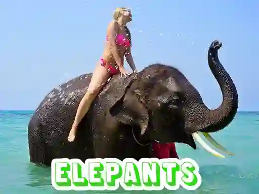 Gra Elephants Puzzle w Internecie