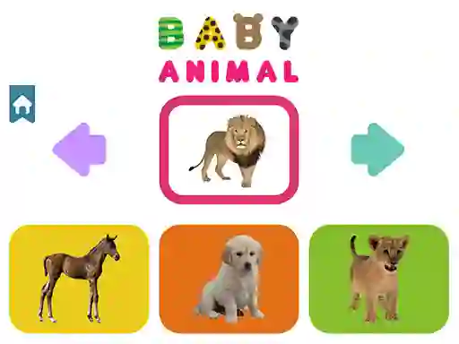 Gra Baby Animal w Internecie