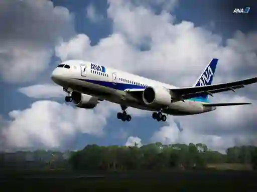 Gra Boeing Dreamliner Puzzle w Internecie