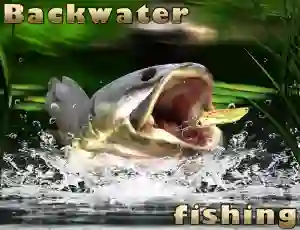 Gra Backwater Fishing w Internecie
