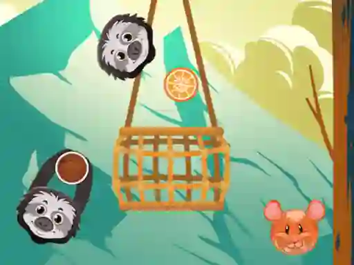 Gra Slings To The Basket w Internecie