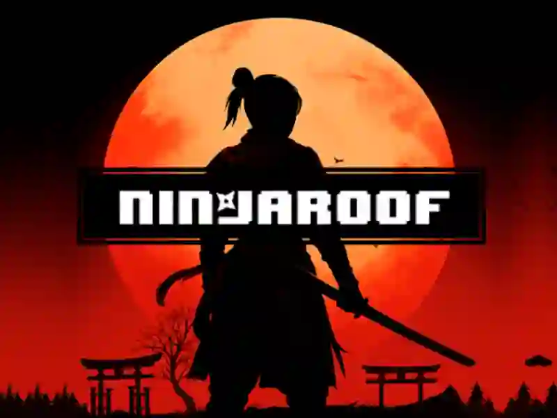 Gra Ninja Roof w Internecie
