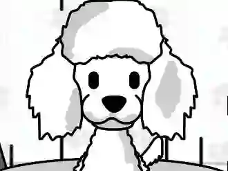 Gra Pampered Paws Doggy Day w Internecie