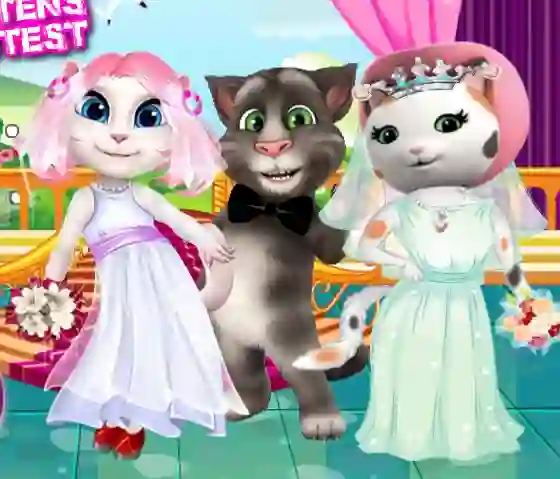 Gra White Kittens Bride Contest w Internecie