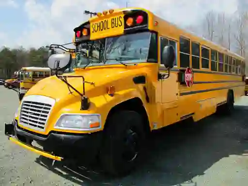 Gra School Buses Puzzle w Internecie