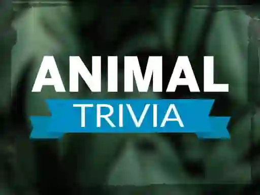 Gra Animal Trivia w Internecie