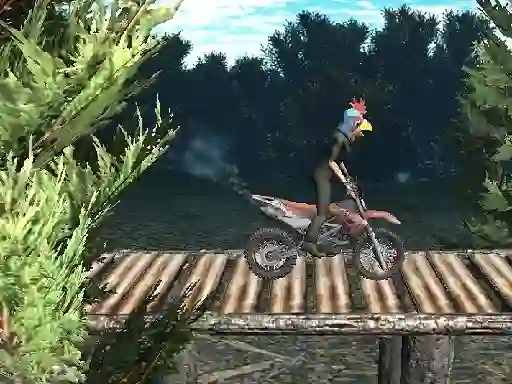 Gra Bike Trial Xtreme Forest w Internecie