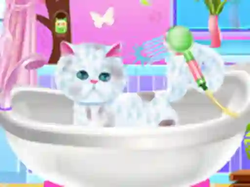 Gra Excellent Pet Groomer w Internecie