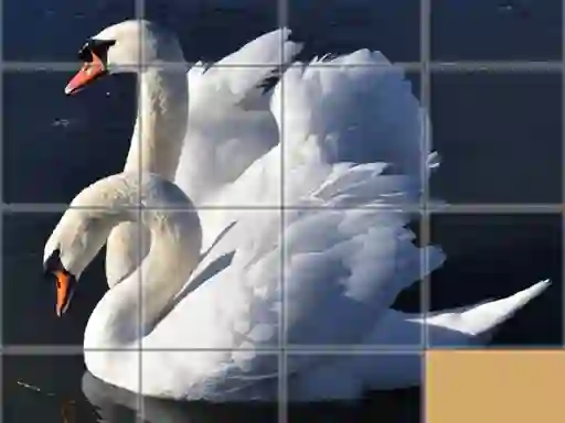 Gra Animals Slide Puzzle w Internecie